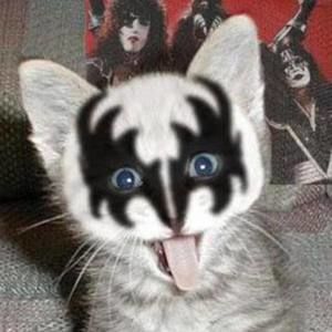 Meet your Posher, Todd